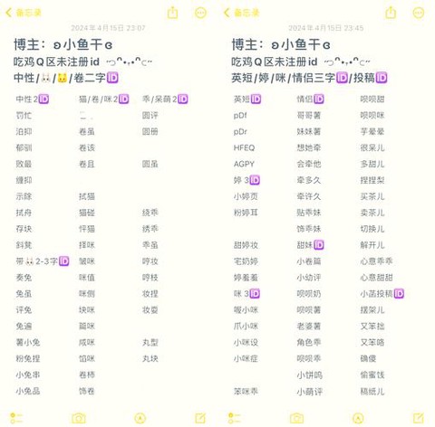 绝地求生id是什么[图1]