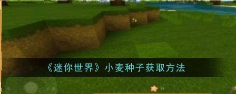 迷你世界怎么使用种子[图1]