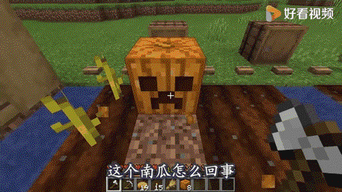 迷你世界怎么收南瓜[图1]