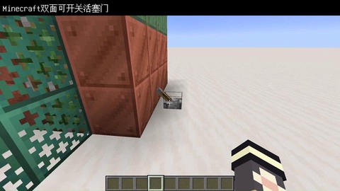 我的世界双开门怎么做[图1]