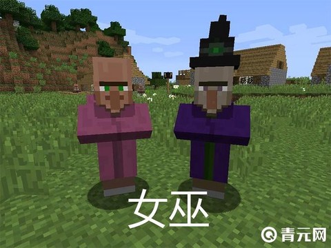我的世界女巫怎么来的[图2]