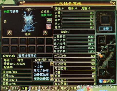 天龙八部宝宝资质怎么看[图1]