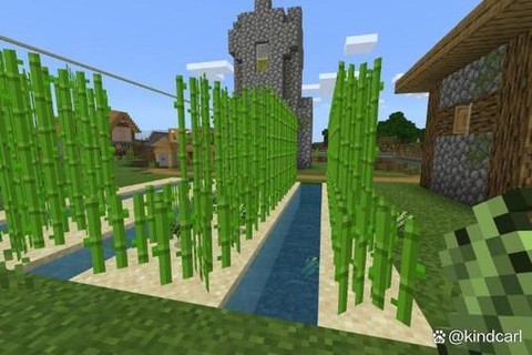 我的世界怎么种植物[图2]