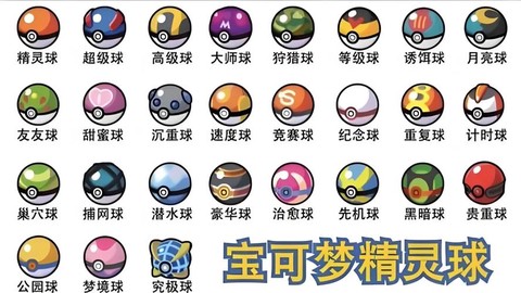神奇宝贝球里面是什么[图2]