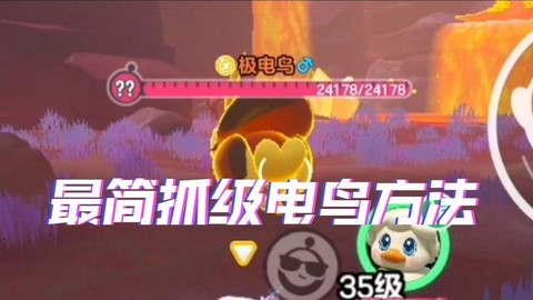 口袋妖怪闪电鸟怎么抓[图2]