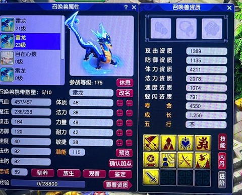 梦幻手游血宠怎么加点